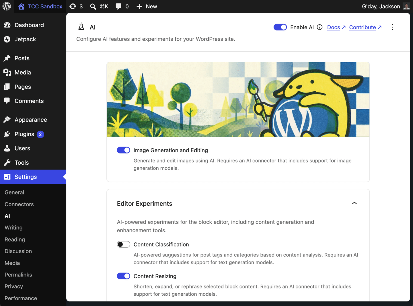 Screenshot of some of the AI features that can be enabled using the WordPress AI Plugin